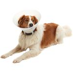Buster Ochranný obojok nepriehľadný Klasický obojok 15cm