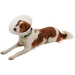 Buster Ochranný obojok nepriehľadný Klasický obojok 7,5cm