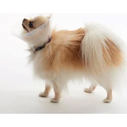 Buster Plastový ochranný obojok E-Collar Brachy veľkosť XS
