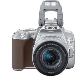 CANON EOS 250D 18-55 IS STM - strieborný