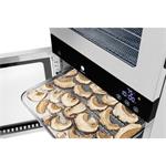 Catler FD 4210