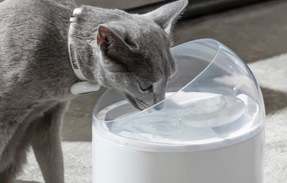 Catlink Pure 2 Vodní fontána pro domácí zvířata
