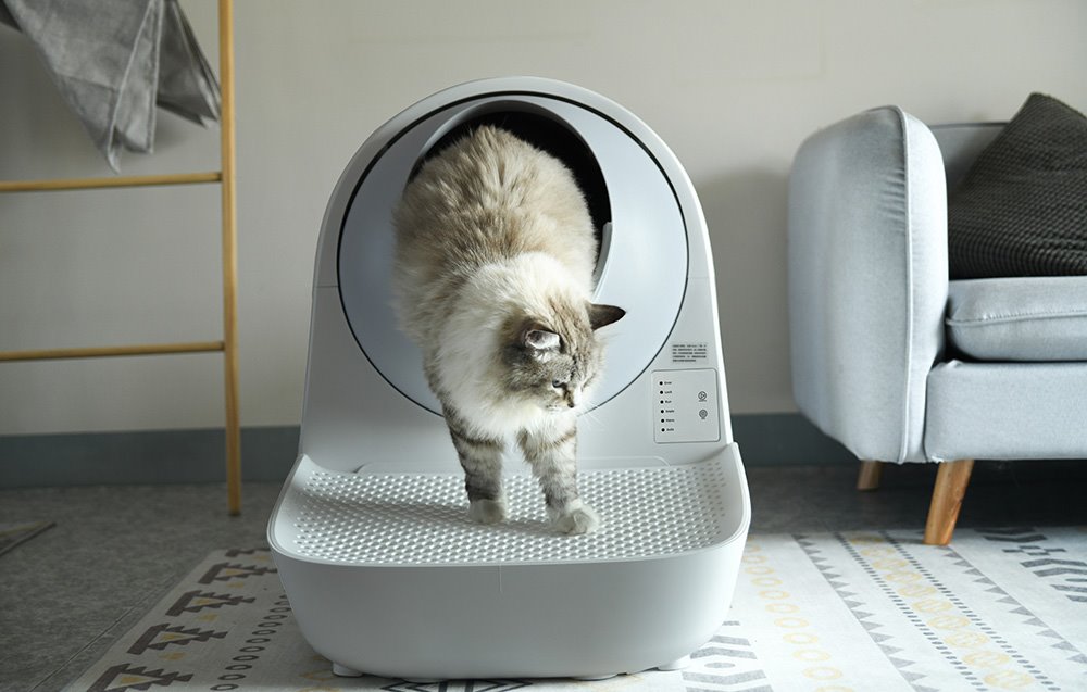 Catlink Schody pre mačacie toalety Scooper (šedé)