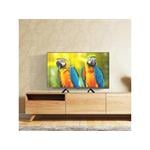 CHiQ L32M9E TV 32", HD, smart, Google TV, Dolby Audio, dbx-tv, HDR 10