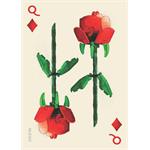 Chronicle Books LEGO® Sada botanických hracích karet