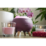 Concept DF1011 Aroma difuzér Perfect Air Berry