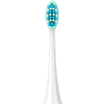 Concept ZK7010 PERFECT SMILE