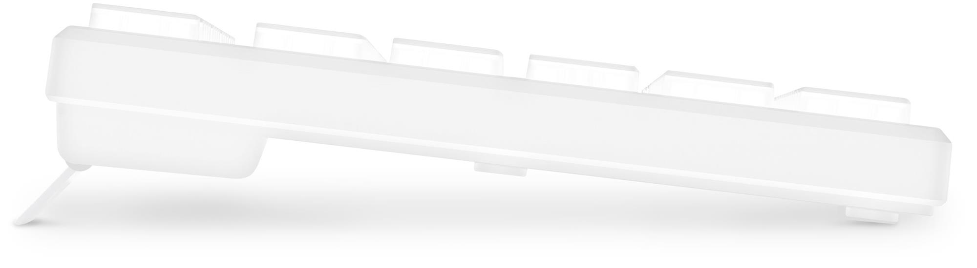 Connect IT Chocolate WhiteStar kancelářská podsvícená klávesnice, CZ