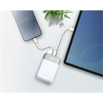 D-Link DPP-101 10000mAh Power Bank