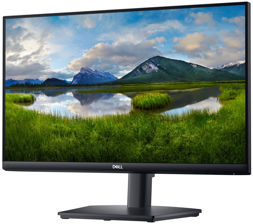 DELL E2424HS (210-BGPJ)