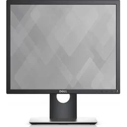 DELL P1917S Professional (P1917S)