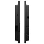 DELL P5525QC (210-BNTN)