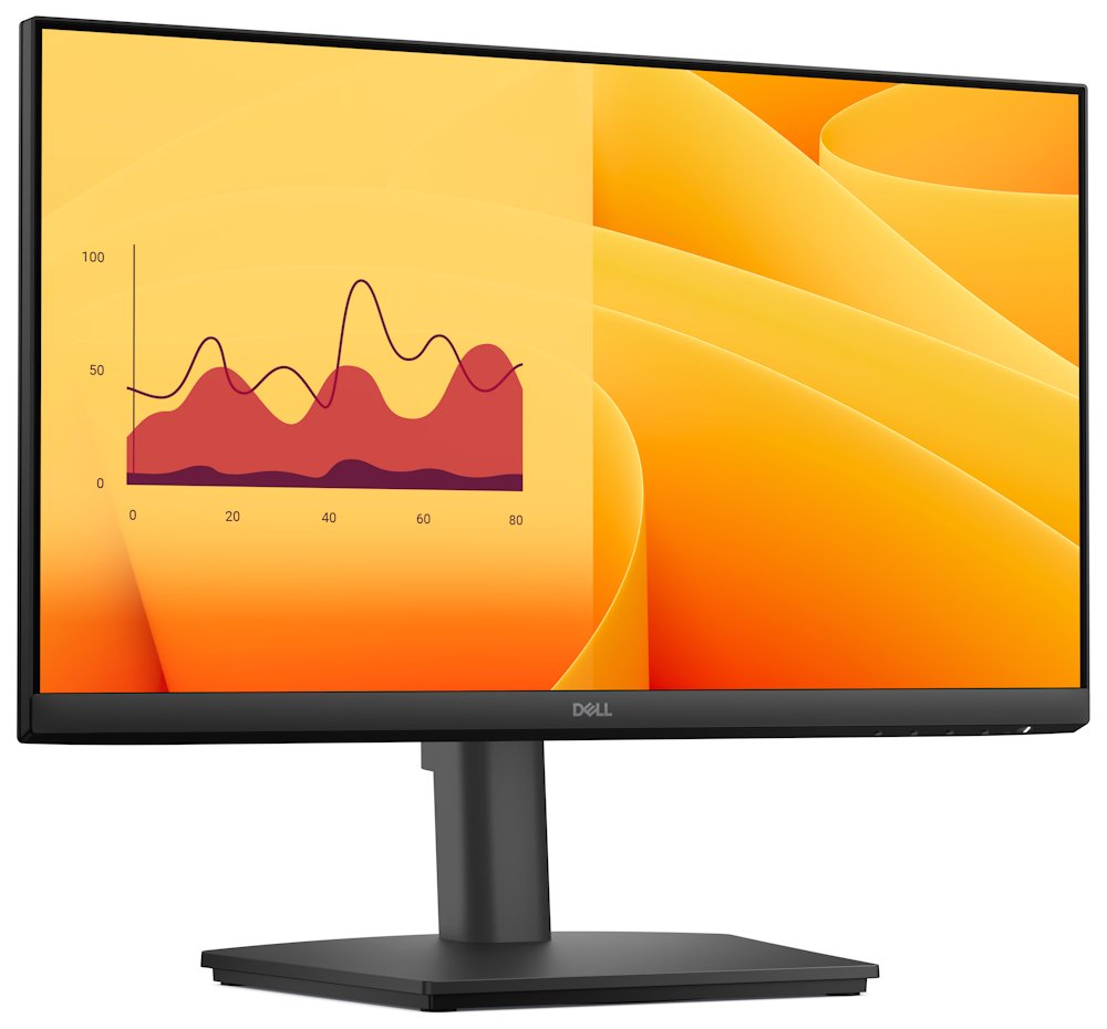 DELL Pro E2225HSM (210-BRDT)