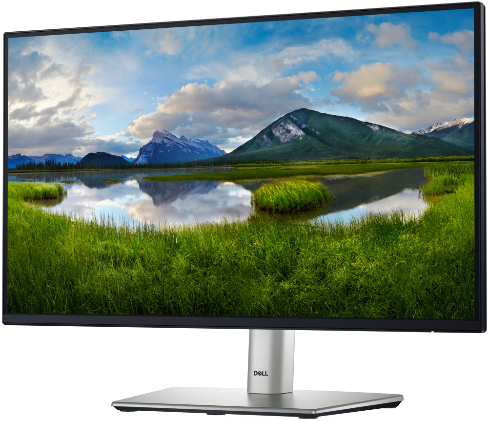 DELL Professional P2225H (210-BMHD)