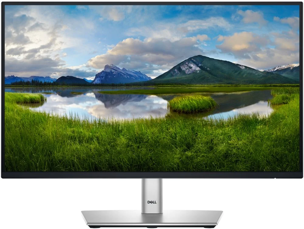 DELL Professional P2225H (210-BMHD)