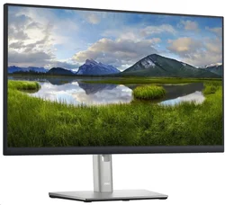 DELL Professional P2422H (210-AZYX)