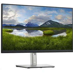DELL Professional P2422H (210-AZYX)