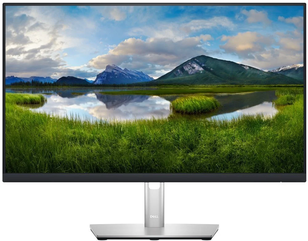 DELL Professional P2423D (210-BDEG)