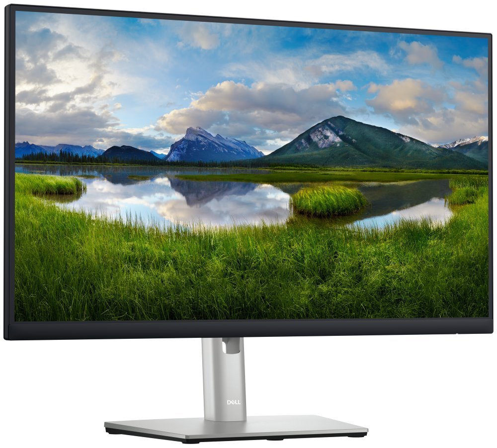 Dell Professional P2423DE (210-BDDW)