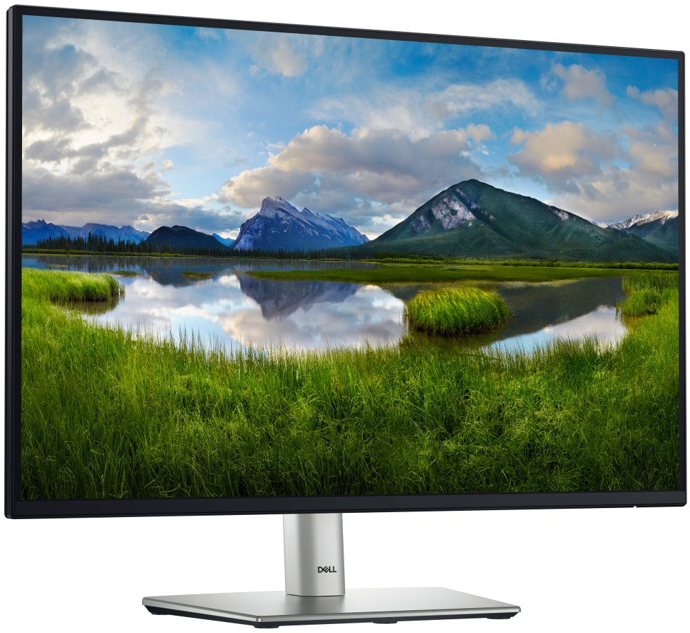 DELL Professional P2425 (210-BMJD)