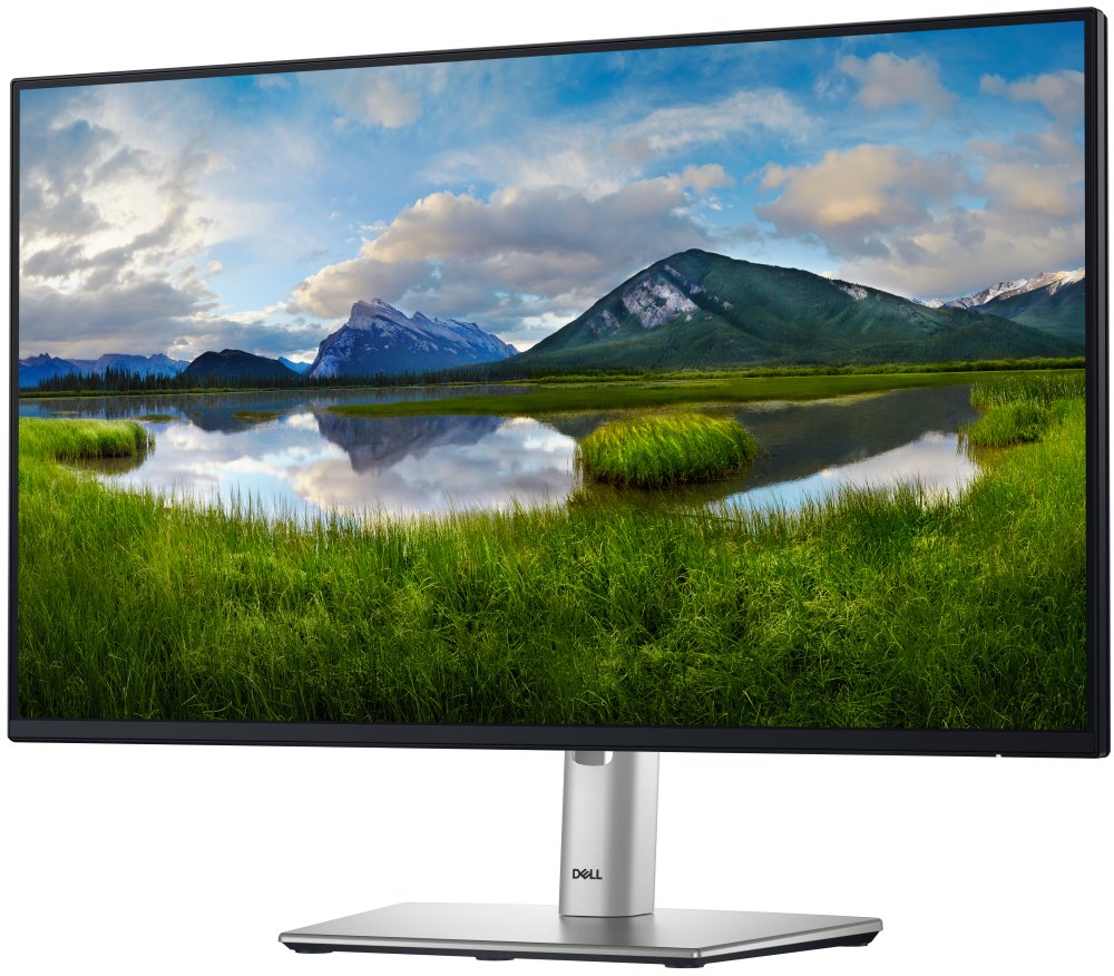 DELL Professional P2425H (210-BMFF)