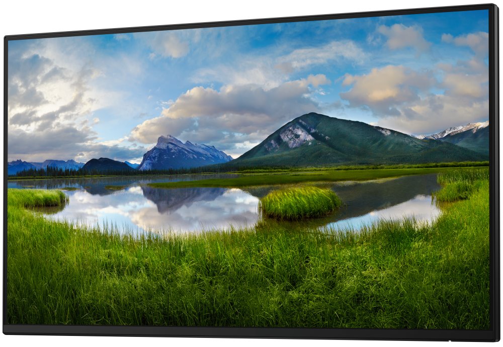 DELL Professional P2425H (210-BMTB) - BEZ STOJANU