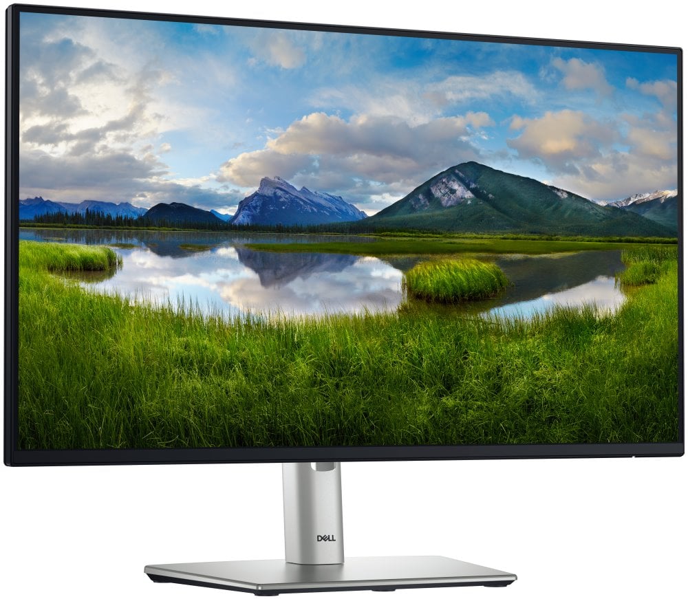 DELL Professional P2425HE (210-BMJB)