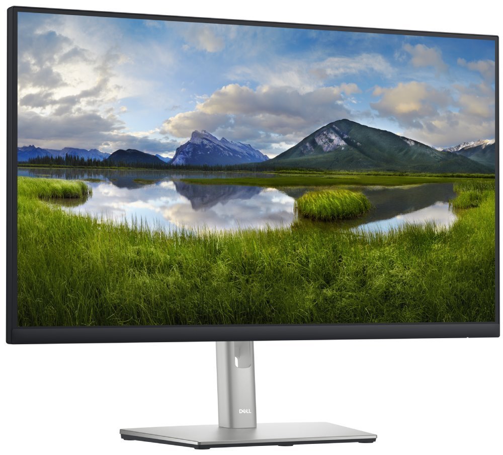 DELL Professional P2722H (210-AZYZ)