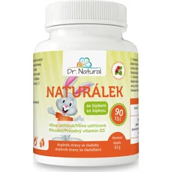 Dr.Natural Naturálek Hlíva ústřičná s vit. D pro děti 90 tbl.