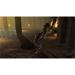 Dungeon Siege Collection