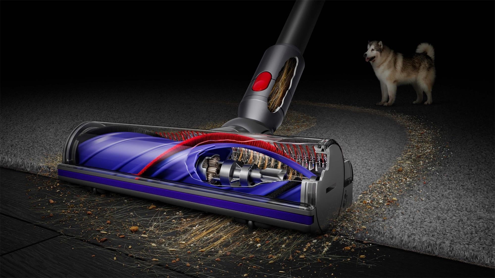 Dyson V8