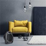 ECG TV 3030 Heat R Black