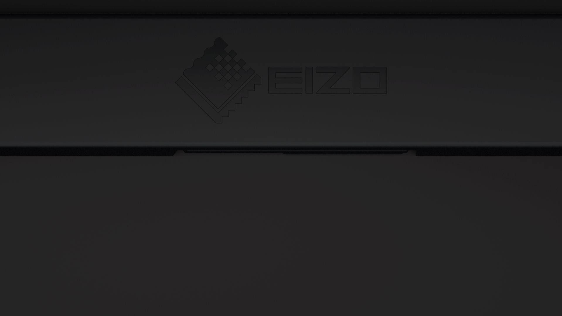 EIZO CG2420-BK 24" černý