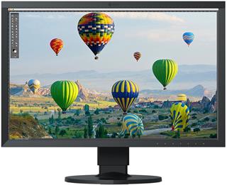EIZO CS2410 černý 24"