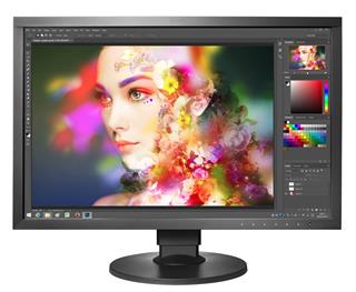 EIZO CS2420 černý 24"