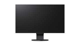 EIZO EV2451 černý 24"