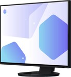 EIZO EV2485 Black 24"
