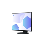 EIZO EV2485 černý 24"