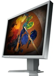 Eizo monitor S2100 21" LCD/1600x1200/1000:1/8MS/DVI/USB, S-PVA