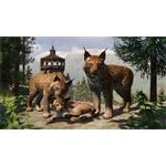 Elektronická licencia balíka Planet Zoo Europe Pack