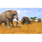 Elektronická licencia WildLife Park 3