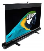 ELITE SCREENS ezCinema Series F135NWH