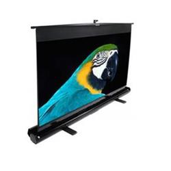 ELITE SCREENS ezCinema Series F60NWV