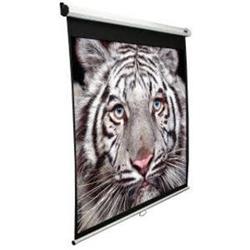 Elite Screens M100XWH 100"