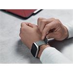 Epico MILANESE BAND PRE APPLE WATCH 38/40/41 mm - strieborná