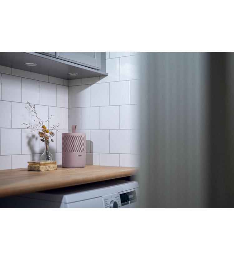 Everbrand Pohlcovač vlhkosti Absodry Duo Family Bag, růžový