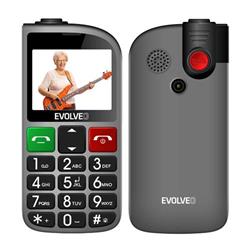 EVOLVEO EasyPhone FL strieborný