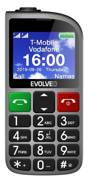 EVOLVEO EASYPHONE FM stříbrný