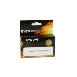 EVOLVEO inkoustová náplň CLI-521BK pro Canon - černá (black) / 10,5 ml (s čipem) CLI-521BK CH - Alternativní inkousty