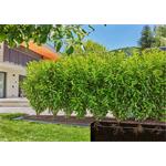 Gardena 13503-20 MDS Kapací hadice 13 mm, 25 M